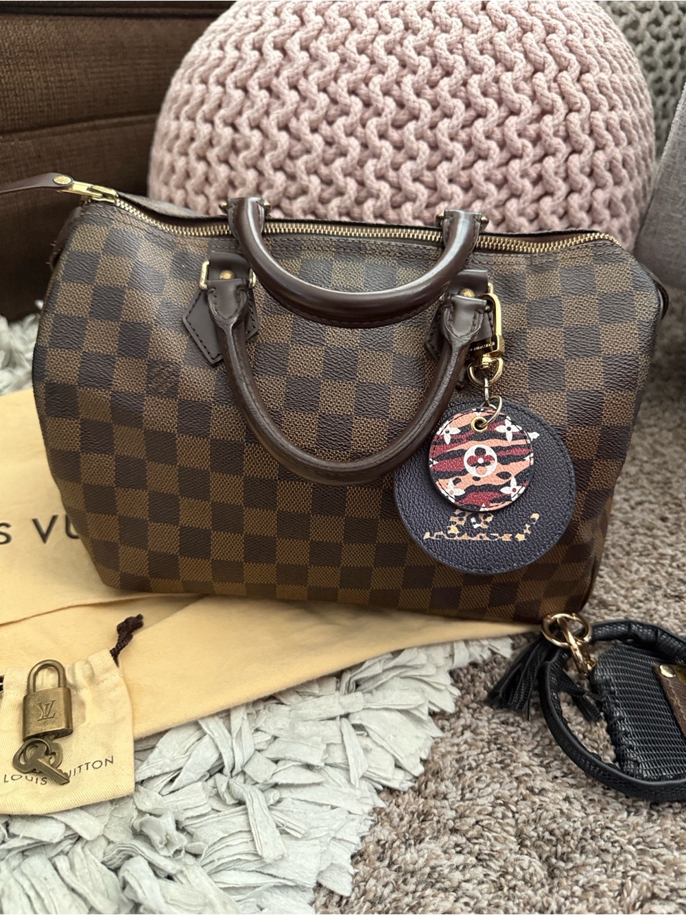 Louis Vuitton Brown Damier Canvas Speedy 30 Satchel
